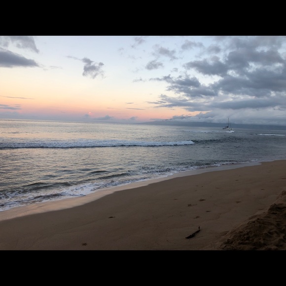 Meet your Posher, Lin - Picture 1 of 1